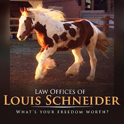 Law Offices Of Louis Schneider logo